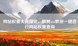 网站权重大有用处，枫树seo教你一键进行网站权重查询