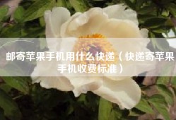 邮寄苹果手机用什么快递（快递寄苹果手机收费标准）