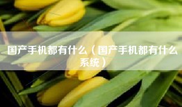 国产手机都有什么（国产手机都有什么系统）