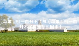 苹果手机一直开不了机（苹果手机一直开不了机是怎么回事）