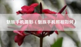 魅族手机摄影（魅族手机照相如何）