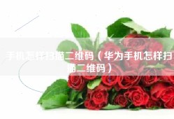 手机怎样扫描二维码（华为手机怎样扫描二维码）