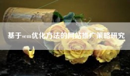 基于sem优化方法的网站推广策略研究