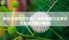 青岛关键词优化推广投资策略与品牌在线影响力提升解析