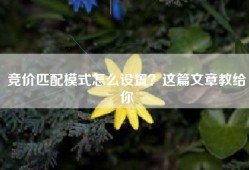 竞价匹配模式怎么设置？这篇文章教给你