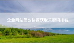 企业网站怎么快速获取关键词排名