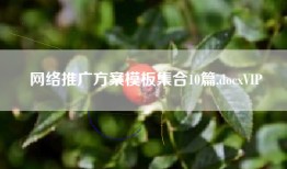 网络推广方案模板10篇.docxVIP