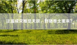 泛滥成灾难觅天敌，野猪卷土重来？