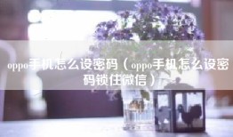 oppo手机怎么设密码（oppo手机怎么设密码锁住微信）