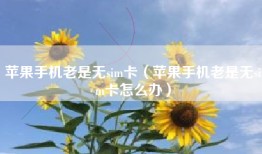 苹果手机老是无sim卡（苹果手机老是无sim卡怎么办）