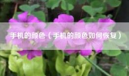 手机的颜色（手机的颜色如何恢复）