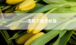 excel表格下载手机版