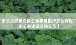 市公共资源交易公告手机银行怎么转账「市公共资源交易公告」