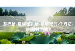 怎样给u盘加密？给u盘加密的5个方法，一分钟学会！