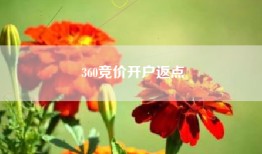 360竞价开户返点