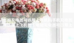 电脑充电器可以带上飞机吗手机充电器可以带上飞机吗「电脑充电器可以带上飞机吗」