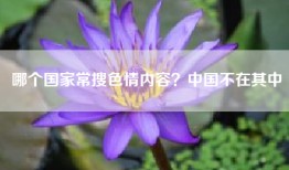 哪个国家常搜色情内容？中国不在其中