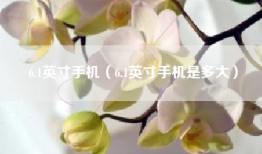 6.1英寸手机（6.1英寸手机是多大）