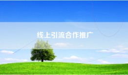 线上引流合作推广