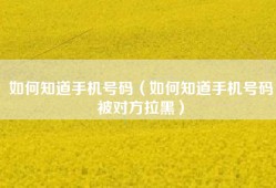 如何知道手机号码（如何知道手机号码被对方拉黑）