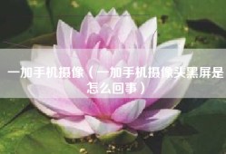 一加手机摄像（一加手机摄像头黑屏是怎么回事）