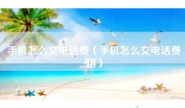 手机怎么交电话费（手机怎么交电话费用）