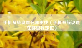 手机系统设置在哪里找（手机系统设置在哪里找定位）