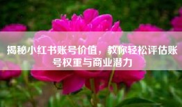 揭秘小红书账号价值，教你轻松评估账号权重与商业潜力