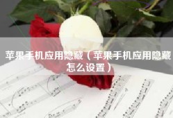 苹果手机应用隐藏（苹果手机应用隐藏怎么设置）