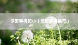 微型手机超小（微型手机推荐）