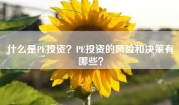 什么是PE投资？PE投资的风险和决策有哪些？