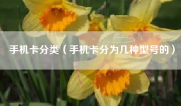 手机卡分类（手机卡分为几种型号的）