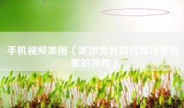 手机视频美图（美图秀秀如何美化手机里的视频）