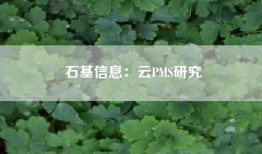 石基信息：云PMS研究