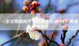 15岁女孩厕所产子后将其从5楼扔下 男婴奇迹生还