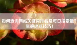 如何查询网站关键词排名及每日搜索量？掌握这些技巧！