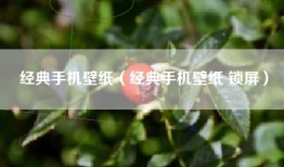 经典手机壁纸（经典手机壁纸 锁屏）