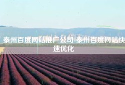 泰州百度网站推广公司-泰州百度网站快速优化