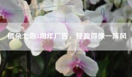 橘朵七色5周年广告，轻盈得像一阵风