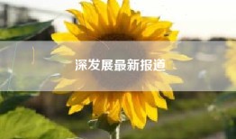 深发展最新报道