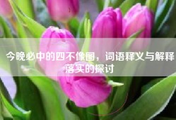 今晚必中的四不像图，词语释义与解释落实的探讨