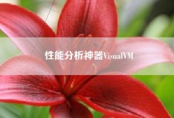 性能分析神器VisualVM