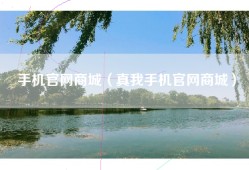 手机官网商城（真我手机官网商城）