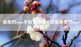最贵的oppo手机多少钱（目前最贵的oppo手机）