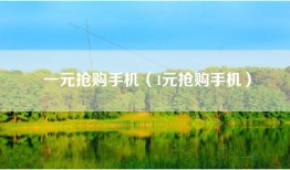 一元抢购手机（1元抢购手机）