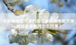 手机和电脑共享网络（手机和电脑共享网络老是断网怎么回事）