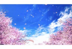 幼儿园小雪节气活动方案