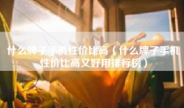 什么牌子手机性价比高（什么牌子手机性价比高又好用排行榜）
