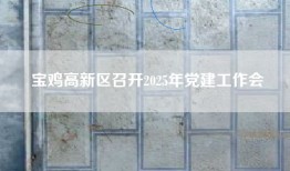 宝鸡高新区召开2025年党建工作会