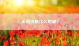 关键词是什么意思？